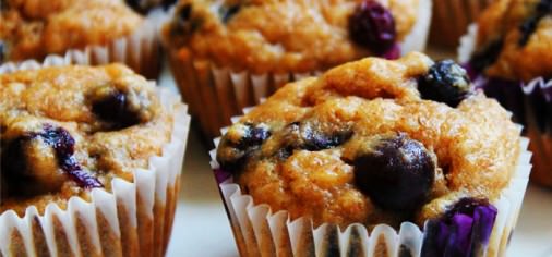 Blueberry Protein Muffins